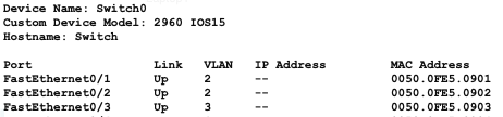 VLAN Segmentation